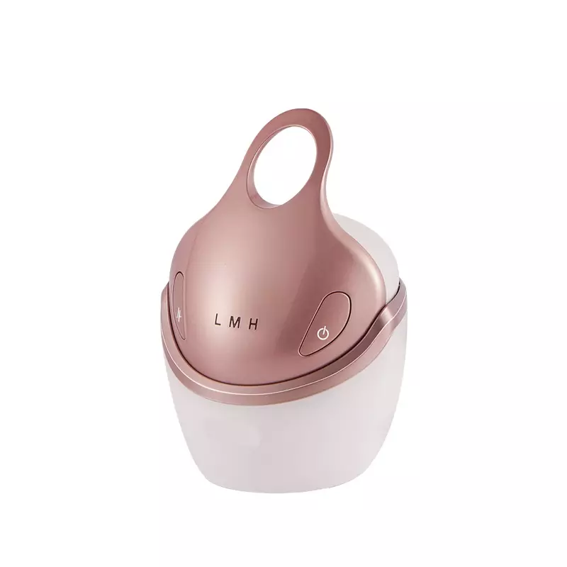 다기능 Ems Rf 성형수술 반대로 주름 전기 아름다움 장비 피부 강화 장치